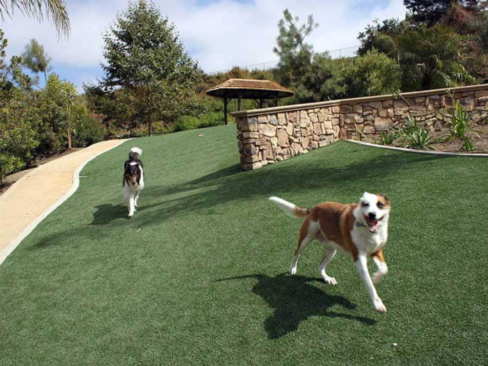 pet turf installation san diego