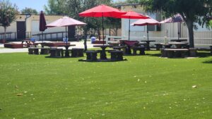 turf commercial property san diego