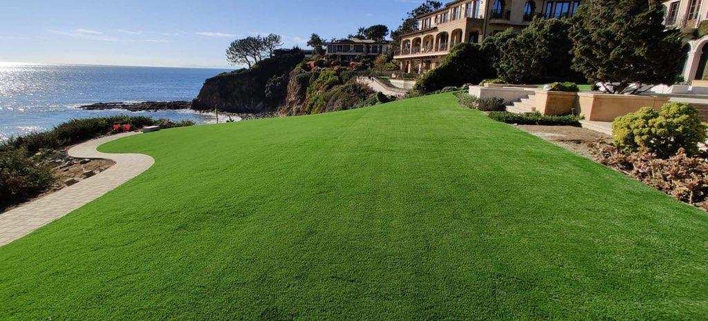 san diego artificial grass