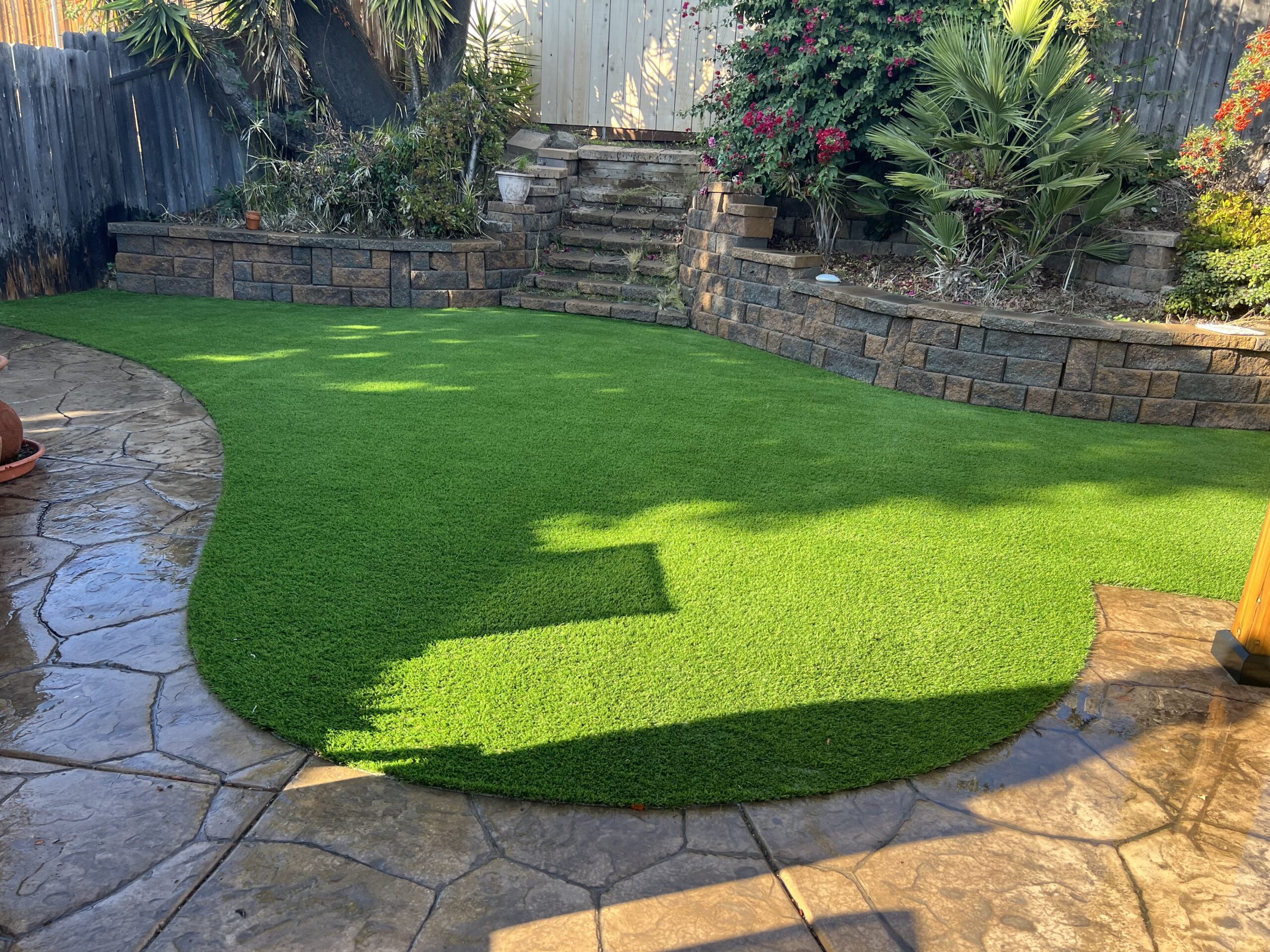 Local Turf Company Near You in San Diego