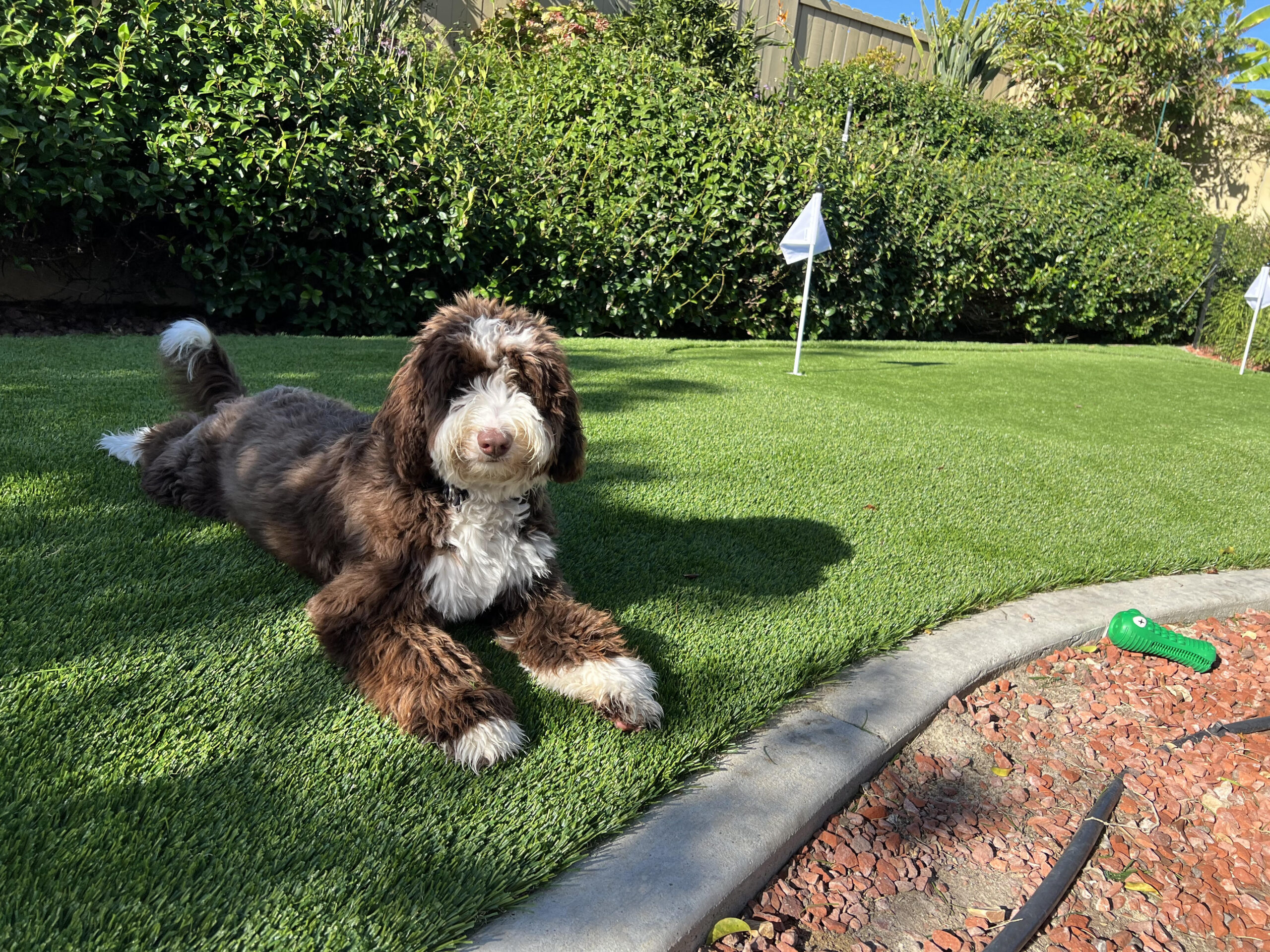 Artificial Turf Installation Carlsbad