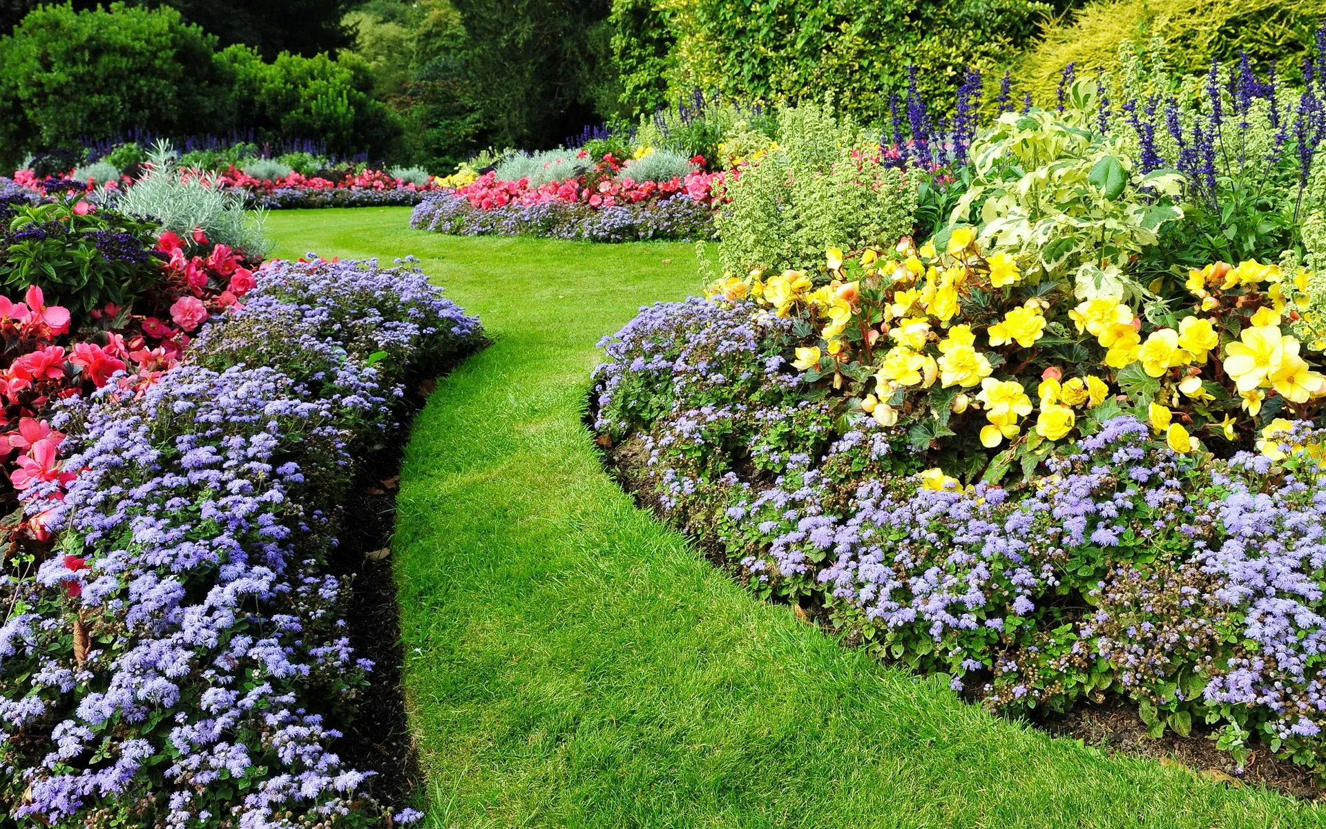Signs Your Lawn Care Strategy is Missing Great Landscape Design
