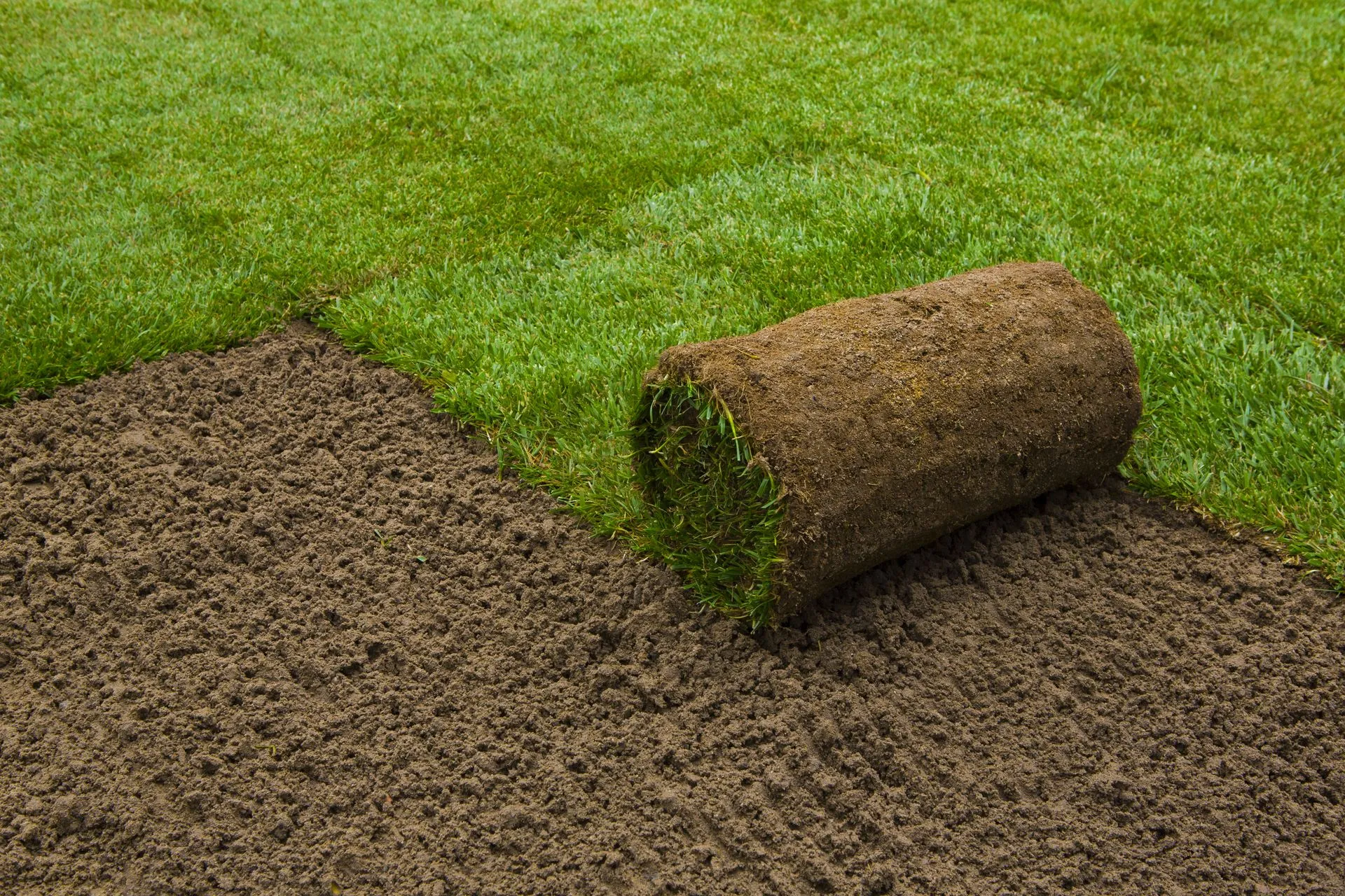 How Lawn Installation Enhances the Functionality of Outdoor Spaces