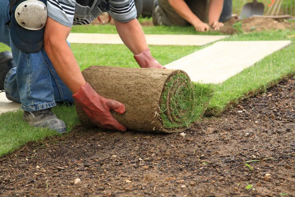 Goodbye Mowing, Hello Green: Artificial Grass Installation