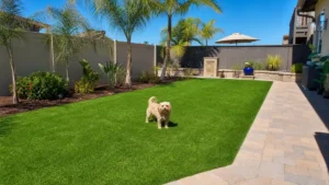 Finished backyard with artificial grass, palm trees, and a small dog on the lawn, showing how to install artificial grass for a lush San Diego yard.